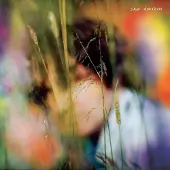 Import Amidon Sam: Sam Amidon