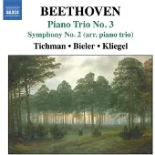 Naxos Beethoven: Piano Trios Vol 3