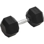 vidaXL Hantel 20 kg gjutjärn