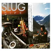 Memphis Industries Slug: Ripe