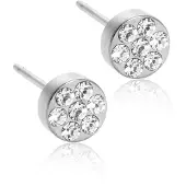 Blomdahl Brilliance Plenary Crystal örhängen 5mm 15-12166-01