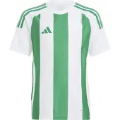 Adidas Striped 24 T-shirt Med Korta ärmar