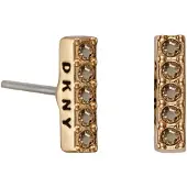 DKNY 5520081 örhängen