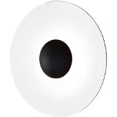 Marset Design vägglampa Ginger 32 C, dimbar, Ljust trä, Vardagsrum / matsal, Aluminium / grå / zink, Design, Vägglampa, vägglampa inomhus