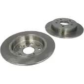 Delphi Bromsskivor BG4222 bak, full, 2 Stycke