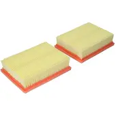 FILTRON Luftfilter AP149/2-2X