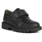 Geox Shaylax Skor