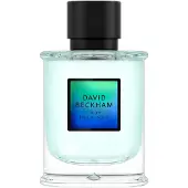 David Beckham True Instinct Eau de Parfum Spray