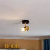 Argon Takspotlight Lund i svart och guld, 1 lampa , dimbar, Mässing / guld, Vardagsrum / matsal, Metall, Modern, Halogen spots