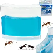 Pricenet Myrakvarium med Blå Gel - Studera Myrornas Beteende
