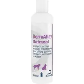 DermAllay Oatmeal Shampoo för hund och katt