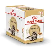 Royal Canin Fbn Maine Coon 85g Våtfoder För Katter 12 Enheter