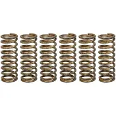 TRW Kopplingsfjäder set MEF341-6