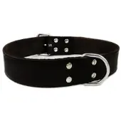 Brekz Läderhalsband svart för hund