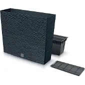 Prosperplast 12l Furu Collection 58x18x49.8 Cm Blomkruka