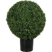 Mr Plant Buxbom konstväxt grön