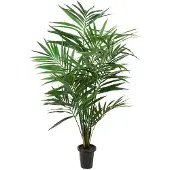 Newport Kentia palm konstväxt grön