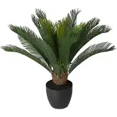 Mr Plant Cycas krukväxt grön