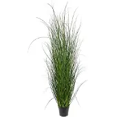 Mr Plant Gräs krukväxt grön