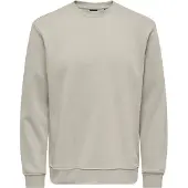 Only & Sons Sweatshirt 'CONNOR' grå / ljusgrå