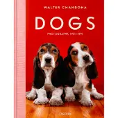Dogs. Walter Chandoha. Photographs 1941–1991