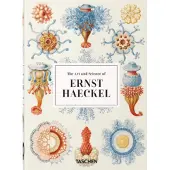 Ernst Haeckel - 40 Series