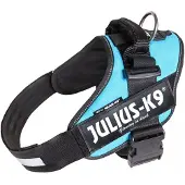 JULIUS K-9 Idc Power Hundsele