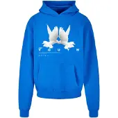 Lost Youth Sweatshirt 'Dove' kobaltblå / grå / vit