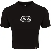 Dickies Globe T-shirt Med Korta ärmar