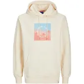 Jack & Jones Aruba Sunset Branding Tröja Med Huva