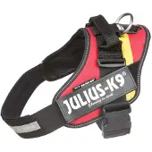 JULIUS K-9 Idc Power Hundsele