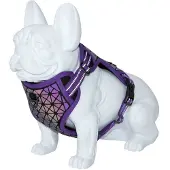 Freedog Boreal Hundsele