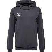 Hummel Authentic Pl Tröja Med Huva