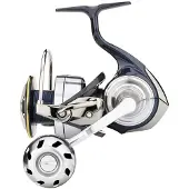 Daiwa Certate Lt 2019 Ark Jiggingrulle