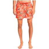 Quiksilver Scenic 15 Simshorts