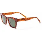 Ocean Sunglasses Nicosia Solglasögon