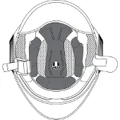 AGV Orbyt Innerfoder
