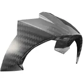 LS2 Ff805 Carbon Ece Hjälmens Bakspoiler