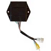Sgr 4174411 Ecu-kit