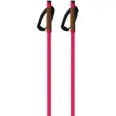 Fischer Storm Gtx L Stavar
