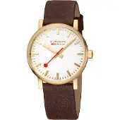 Mondaine Sbb Evo2 Slv Dial Klocka
