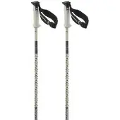 Salomon Polar Pro S3 Stavar