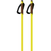 Fischer Storm Gtx S Stavar