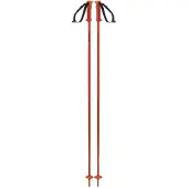 Salomon Polar Cherry Tomato