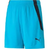 Puma Shorts teamLIGA - Blå/Svart Barn, storlek 152 cm