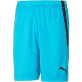 Puma teamLIGA Shorts 70492440