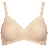 Triumph Cotton Classic Stretch N Bh