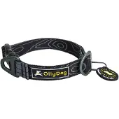 OllyDog Flagstaff Collar Raven Bark