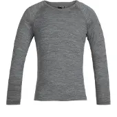 Icebreaker 200 Oasis Crew Merino T-shirt Med Lång ärm
