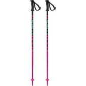 Salomon Kaloo, Skidstav, Junior, Rosa